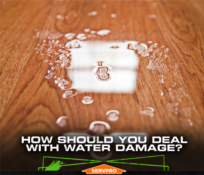 Water pooled on hardwood floor with the caption: HOW SHOULD YOU DEAL WITH WATER DAMAGE?